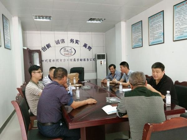 楊澤林、袁斌率隊(duì)檢查資陽(yáng)片區(qū)安全工作