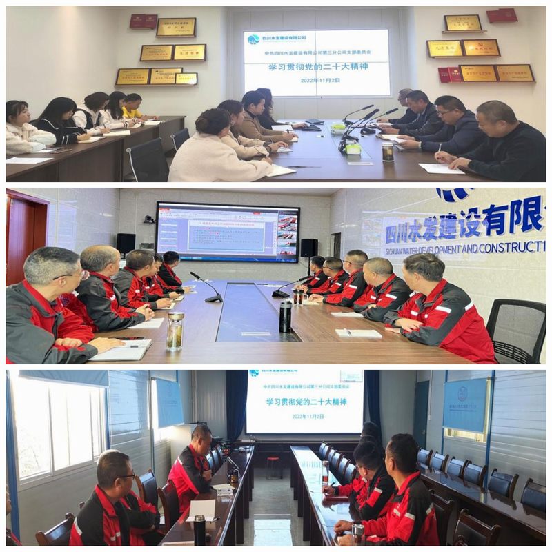 三分公司黨支部、龍?zhí)另椖坎奎h支部和亭子口項目部第二支部聯(lián)合組織召開傳達學(xué)習(xí)黨的二十大精神大會