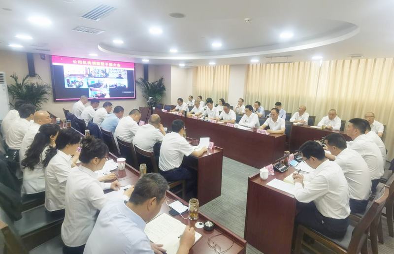 公司召開(kāi)機(jī)構(gòu)調(diào)整暨干部（視頻）大會(huì)