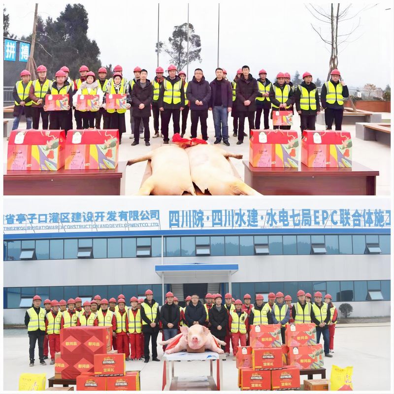 羅雪總經(jīng)理一行赴亭子口項(xiàng)目開展調(diào)研慰問活動