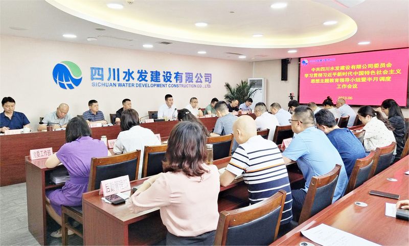 公司召開學(xué)習(xí)貫徹習(xí)近平新時代中國特色社會主義思想主題教育領(lǐng)導(dǎo)小組暨第三次調(diào)度工作會議